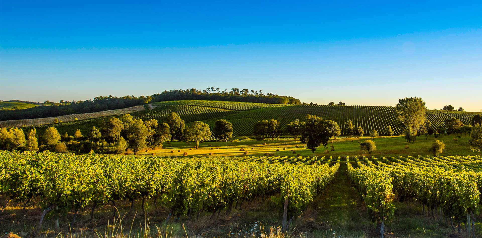 France with Bordeaux and the River Seine